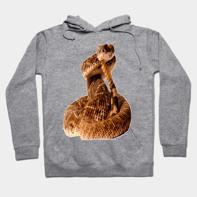 Rattlesnake Hoodie by NerdsbyLeo